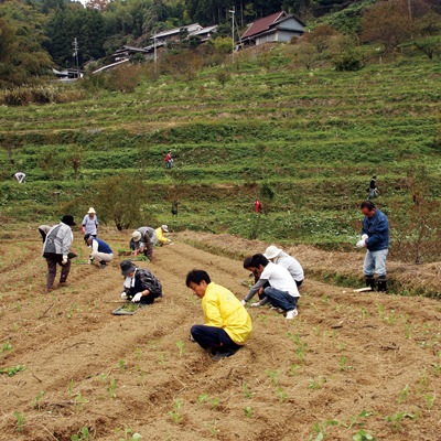 餤ڤβ֥ץȹΤ2009.10.24