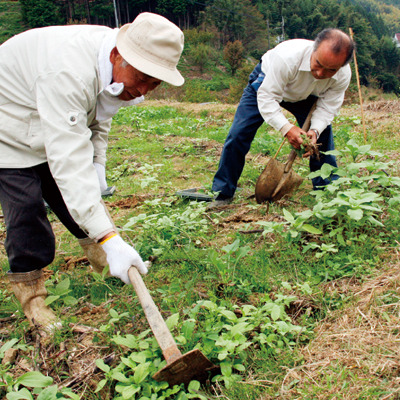 餤ڤβ֥ץȹΤ2009.10.24