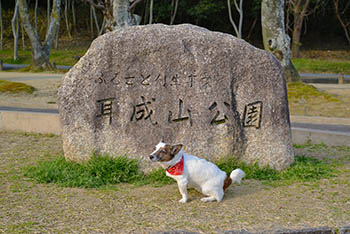 �����Фͤäȡ�What's New�ǥ����å���