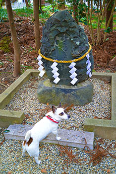 �����Фͤäȡ�What's New�ǥ����å���